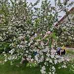 Dom Wakacyjny * Mikołajki