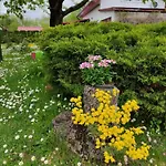 Hébergement de vacances Dom Wakacyjny