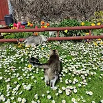 Dom Wakacyjny * Mikołajki