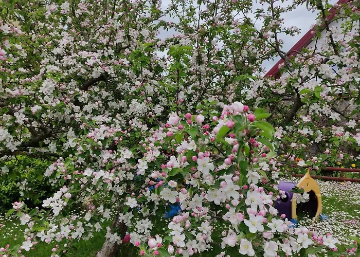 Dom Wakacyjny * Mikolajki (Mragowo)