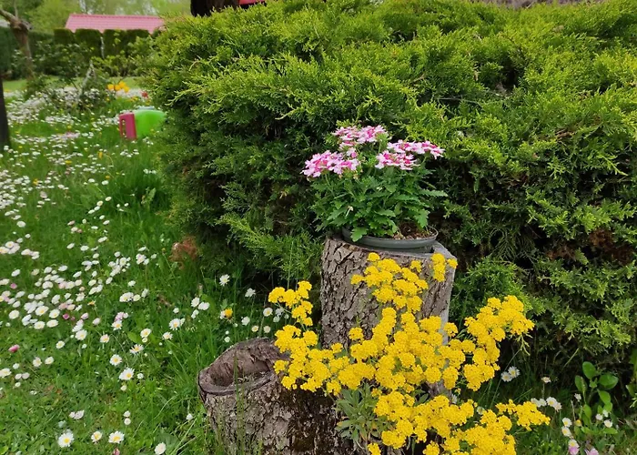 Holiday home Dom Wakacyjny